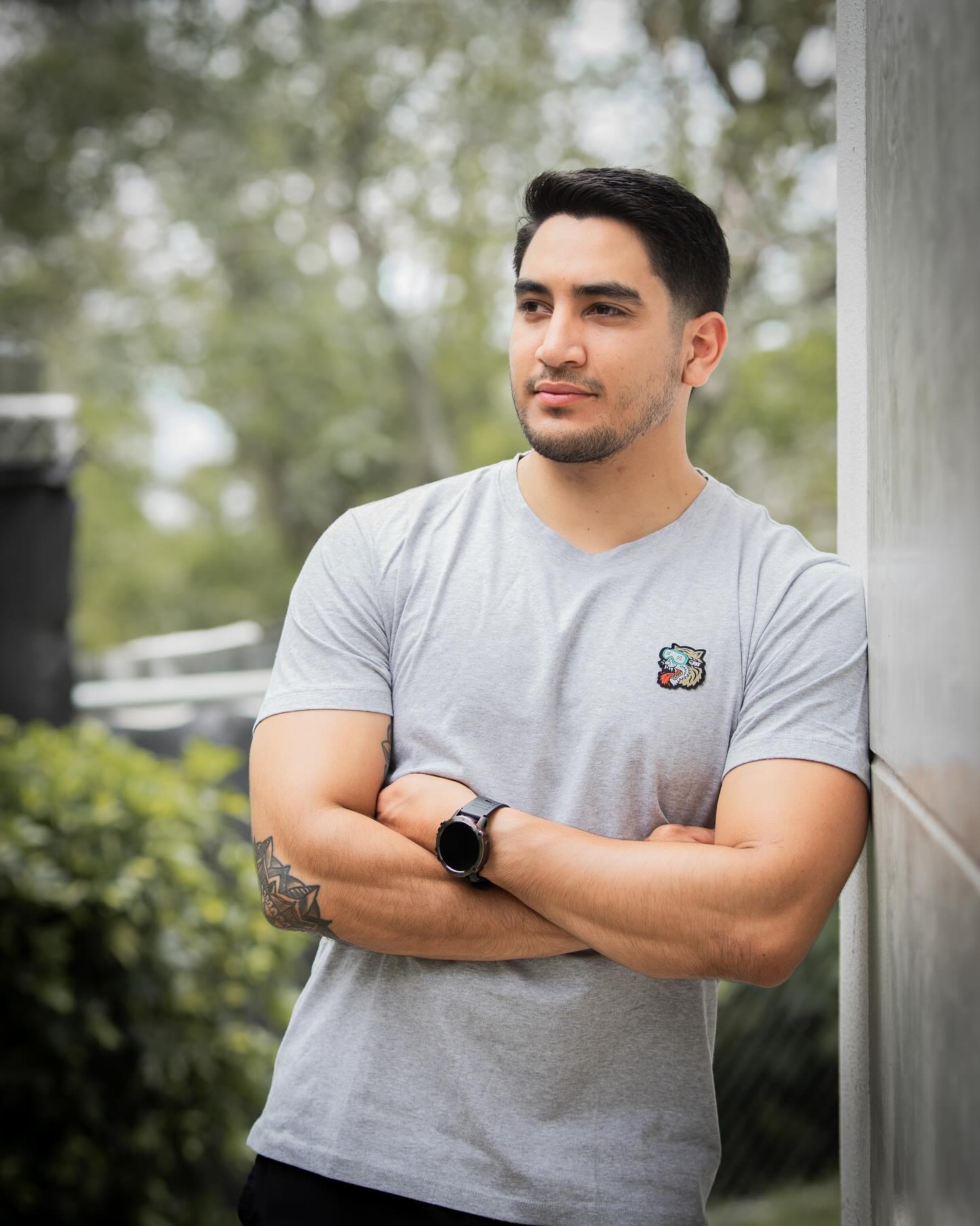 CAMISETA CRAZY TYGER GRIS